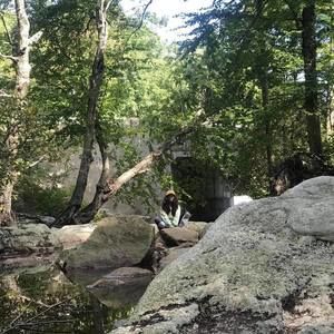 Meet your Posher, Rachel